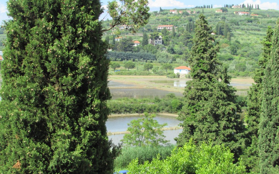 Vseživljensko učenje v Strunjanu