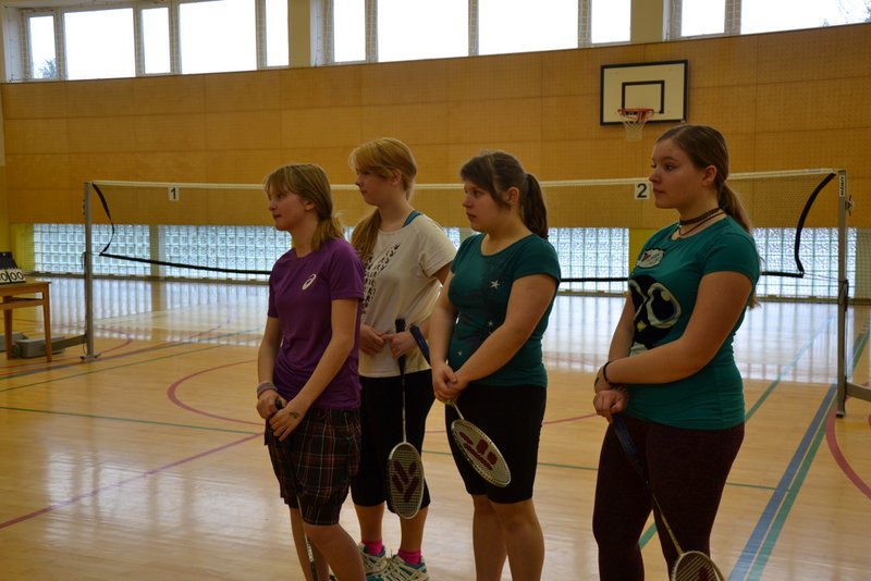 Področno prvenstvo v badmintonu