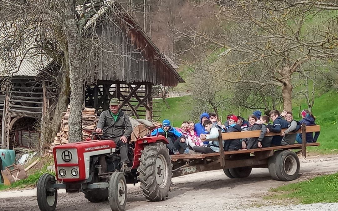 Šola v naravi na kmetiji Pr`Ožbet, 3.dan