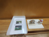 IMG_20250206_080740