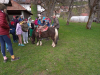 IMG_20250402_160442